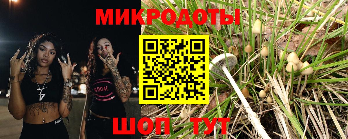 Псилоцибиновые грибы GOLDEN TEACHER Горячий Ключ