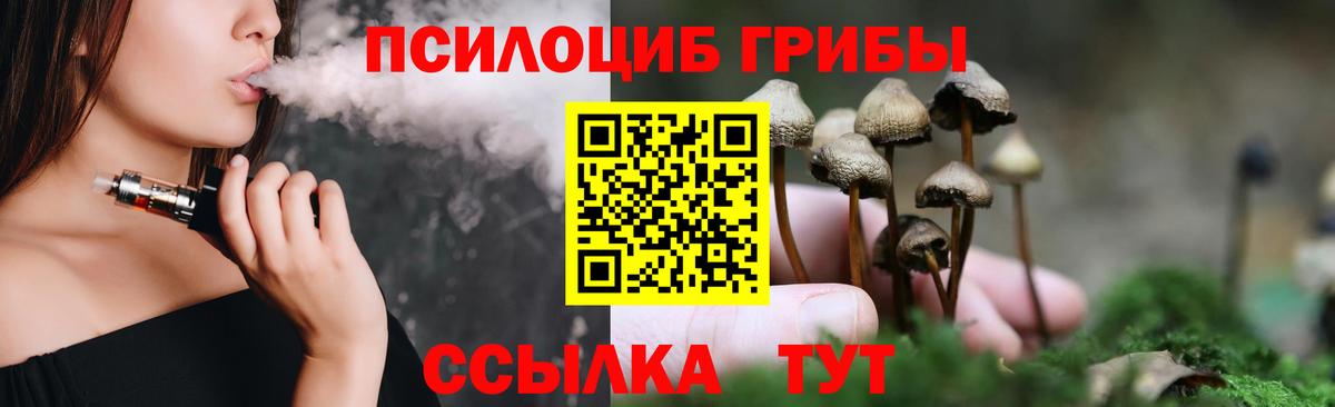 Горячий Ключ  Галлюциногенные грибы Cubensis  Вход с VPN 